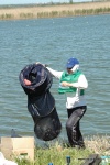 DSC_8185.JPG