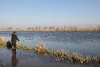 IMG_735012