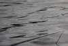 _MG_3198