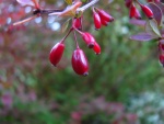 IMG_4024.JPG