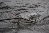 _MG_3427