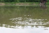 IMG_1779