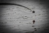 _MG_3103