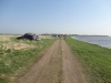 DSC00431