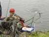 bream_goes_to_landing_net