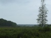 DSC05010