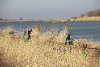 IMG_738212