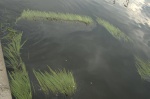DSC_2719.jpg