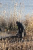 IMG_733912