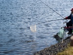_DSC7284.jpg