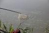 IMG_57427