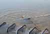 IMG_1974