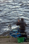 DSC_8407.NEF.jpg