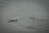 IMG_1787