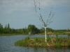 S8001928