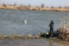 IMG_739412