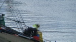 PIC_0111.JPG