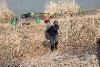 IMG_7653
