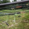_MG_2961