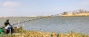 IMG_0736