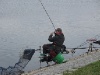 IMG_4431