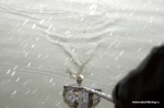 DSC_0020.NEF.jpg