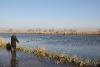 IMG_734812