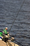DSC_8566.NEF.jpg