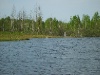 S8001932