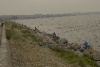 _IMG5545