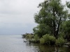 DSC00406