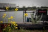 _MG_2929