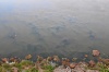 DSC_9252_1