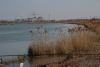 IMG_0806