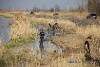 IMG_7786